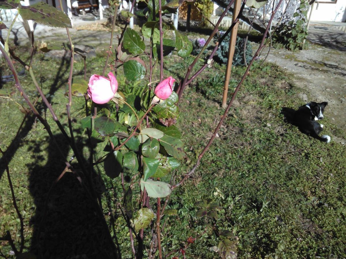 9 Plus - Orbeli Bagian luar foto
