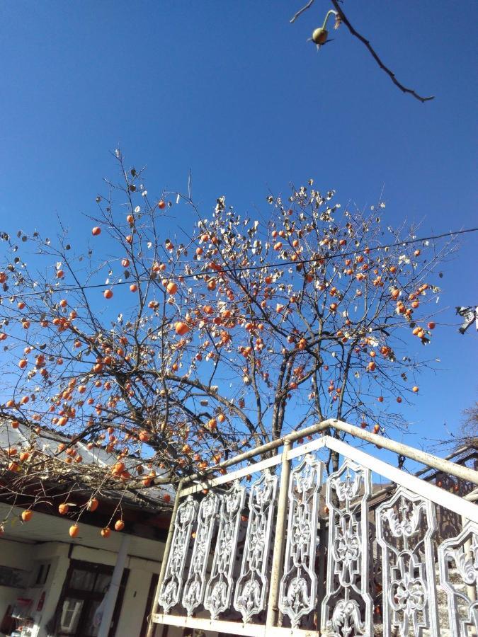 9 Plus - Orbeli Bagian luar foto