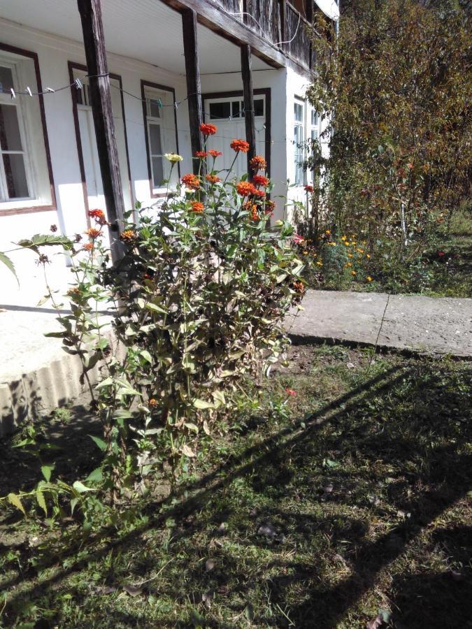 9 Plus - Orbeli Bagian luar foto