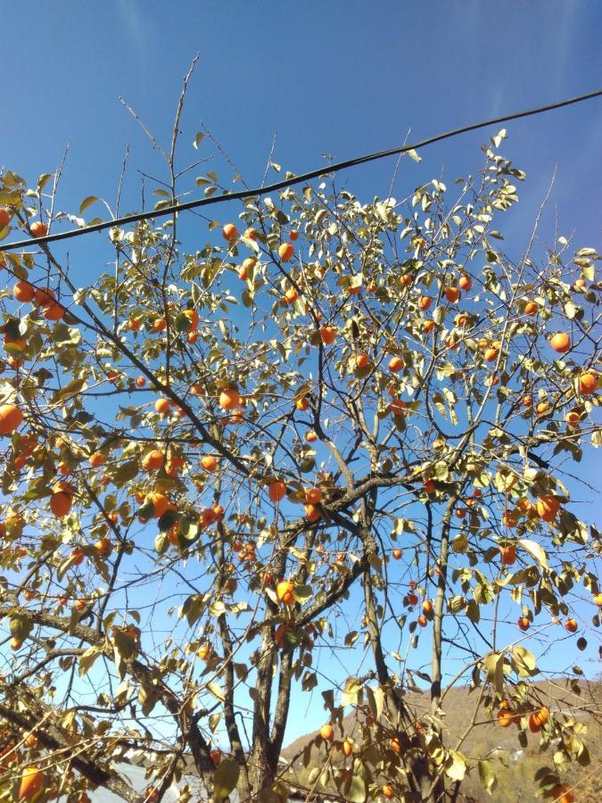 9 Plus - Orbeli Bagian luar foto