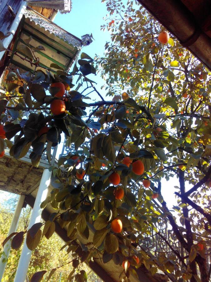 9 Plus - Orbeli Bagian luar foto