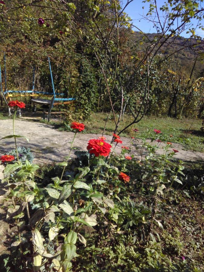 9 Plus - Orbeli Bagian luar foto