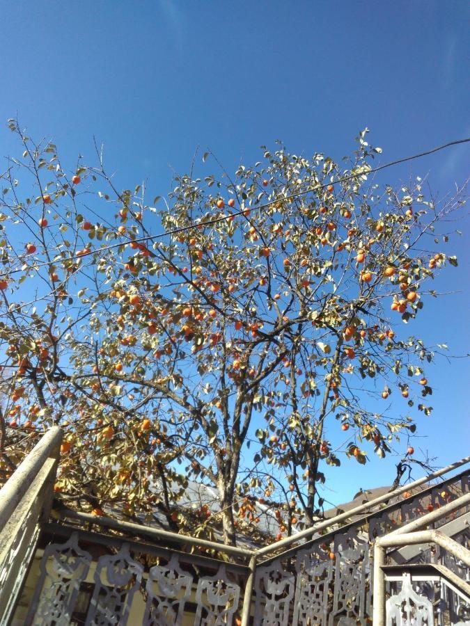 9 Plus - Orbeli Bagian luar foto
