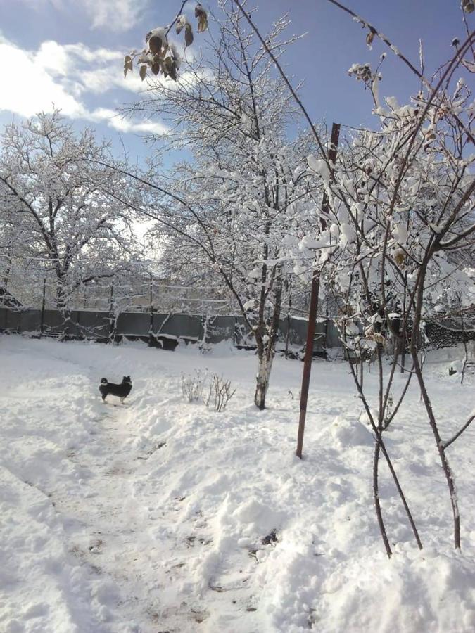 9 Plus - Orbeli Bagian luar foto
