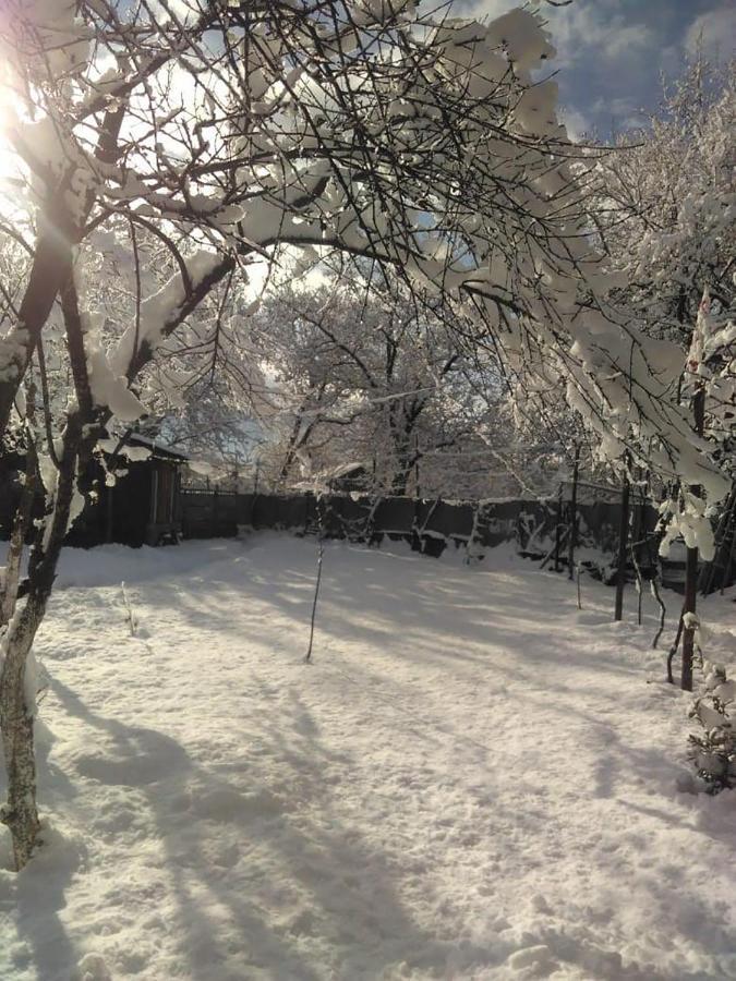 9 Plus - Orbeli Bagian luar foto
